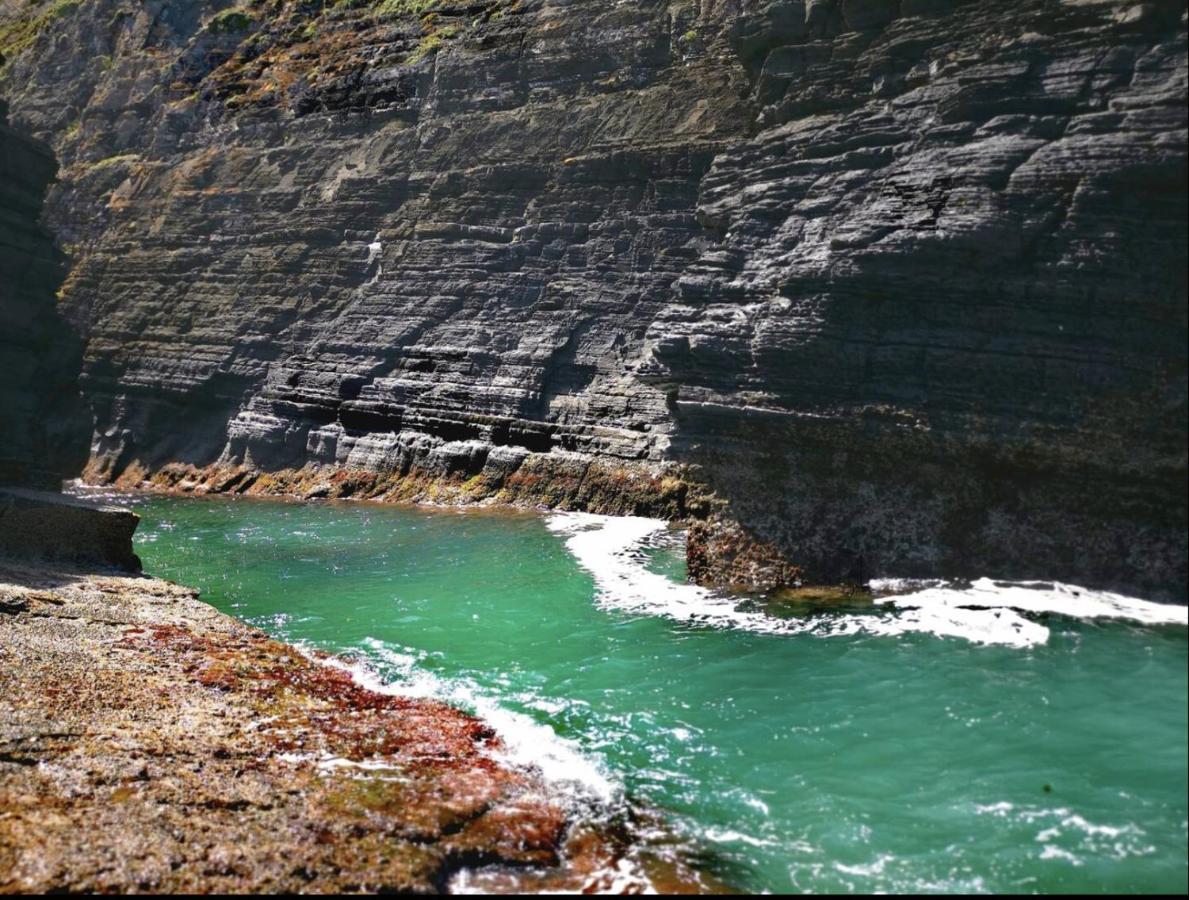 Raptors View Coffee Bay Bagian luar foto