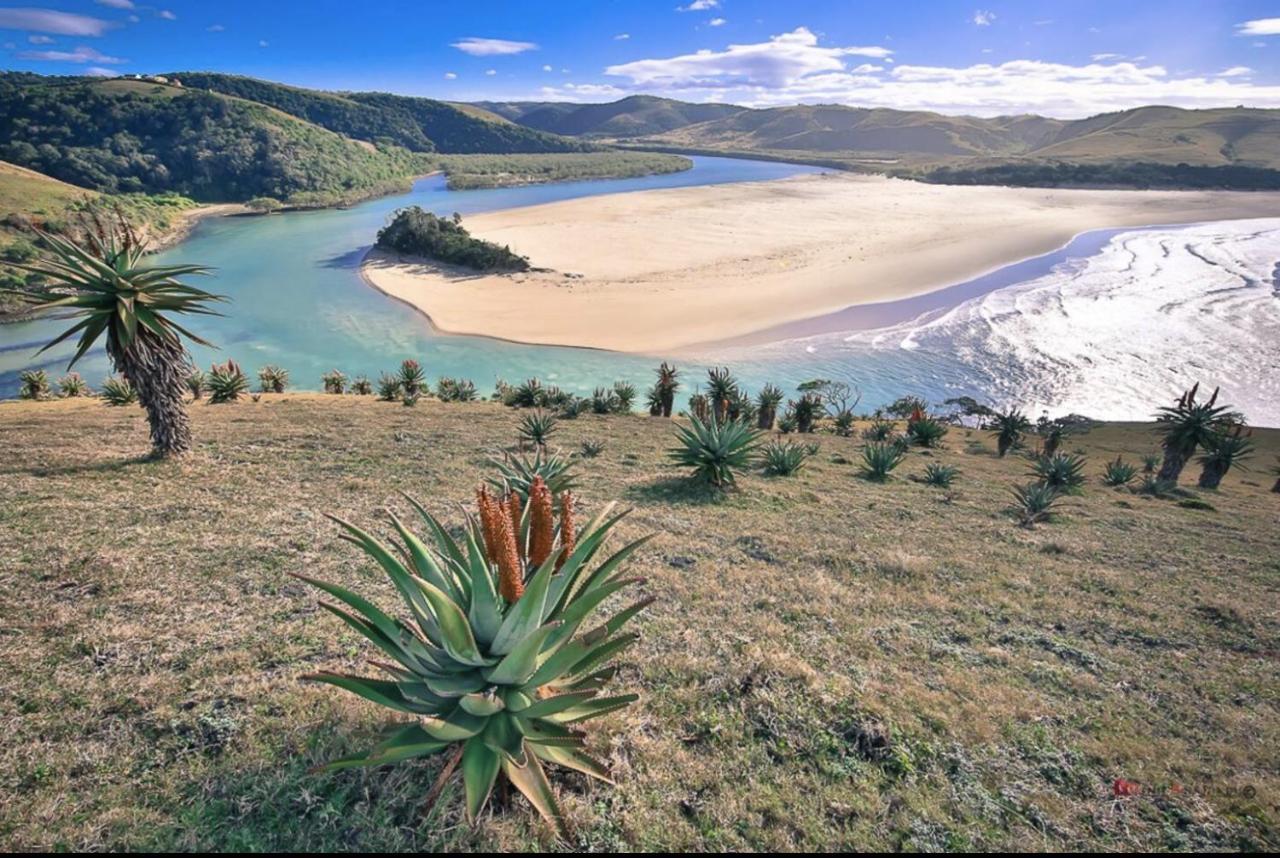 Raptors View Coffee Bay Bagian luar foto