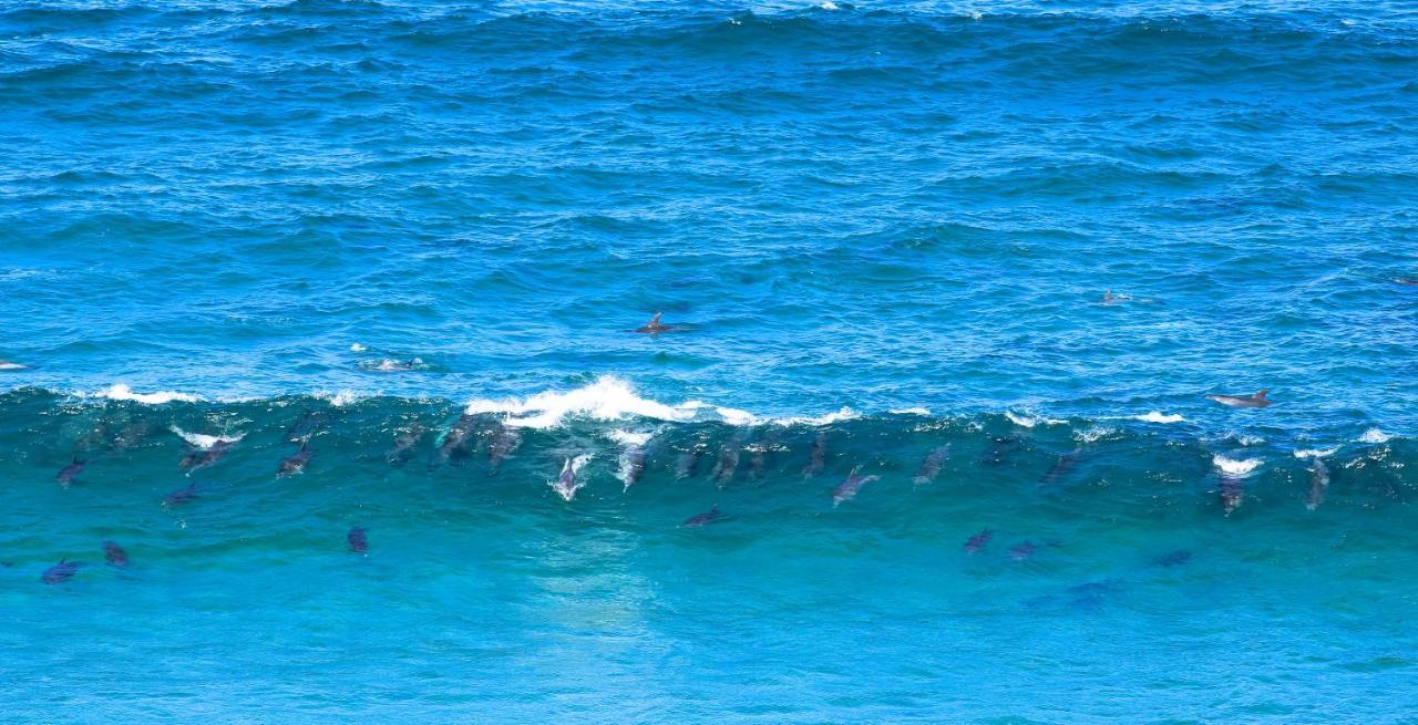Raptors View Coffee Bay Bagian luar foto