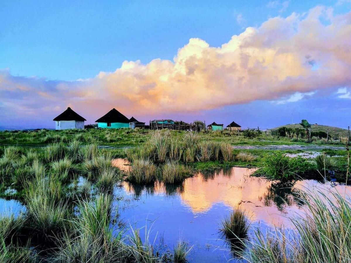 Raptors View Coffee Bay Bagian luar foto